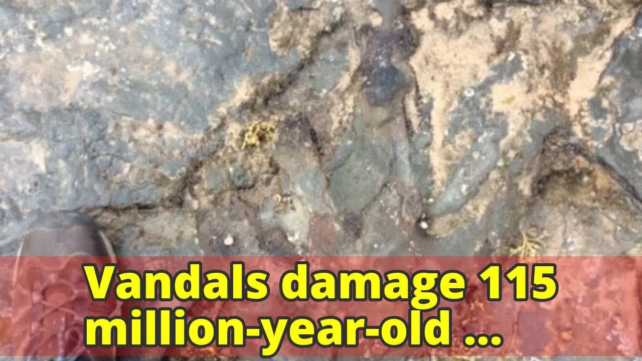 Vandals Have Damaged a 115 Million-Year-Old Dinosaur Footprint in Australia