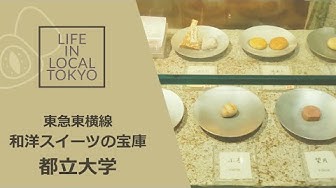 都立大学 Youtube