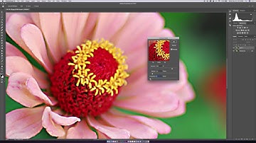 How to Sharpen in Photoshop