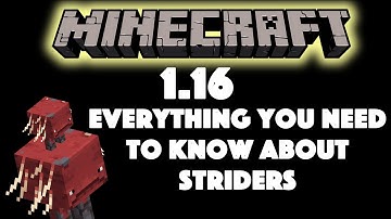 Everything You Need To Know About Striders In Minecraft 1.16