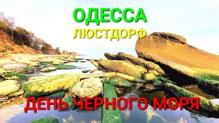 Одесса пляж. День Черного Моря. Черноморка. Люстдорф сегодня. Набережная. Туризм Украина. #зоотроп