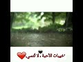 حلات واتس اب نزول المطر