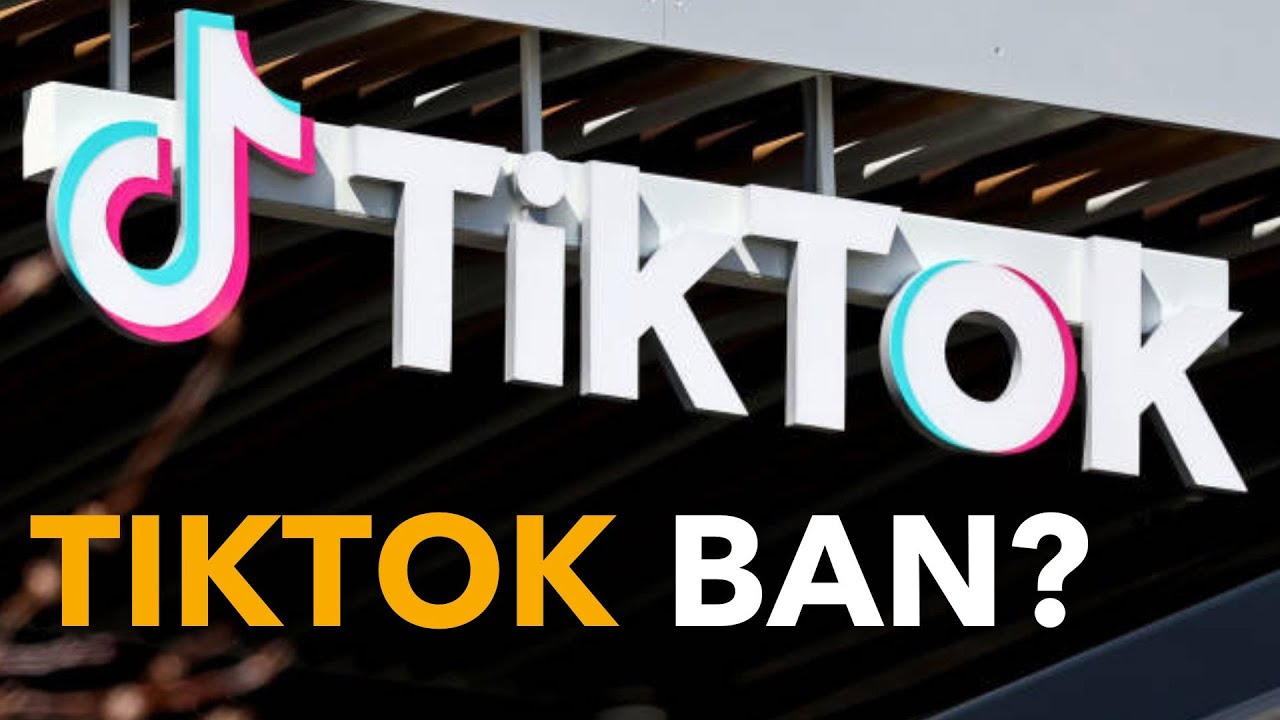 TikTok should be American owned, says Senator Hagerty