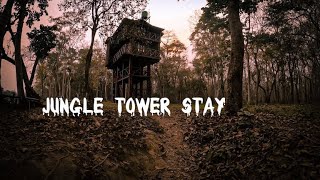 Jungle tower stay and many more- Chitwan National Park