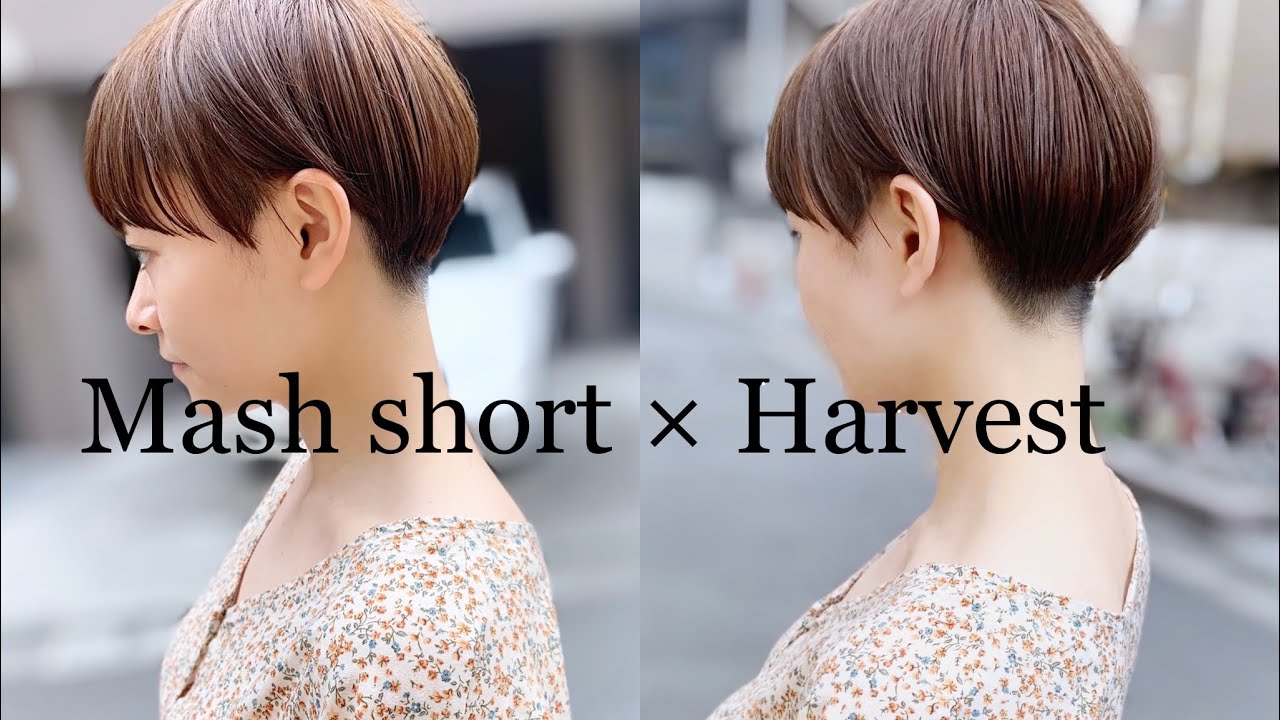 Mash Short Harvest マッシュショート 女性らしい刈り上げスタイル 刈り上げ女子 Youtube