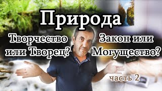 Трактат о природе . Часть 2