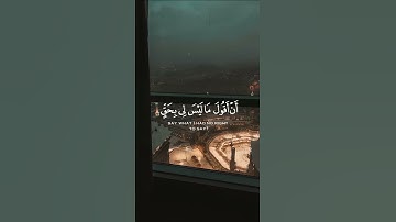 آلقران الكريم - سورة المائدة - آلاية [ 116 ] القارئ ياسر الدوسري