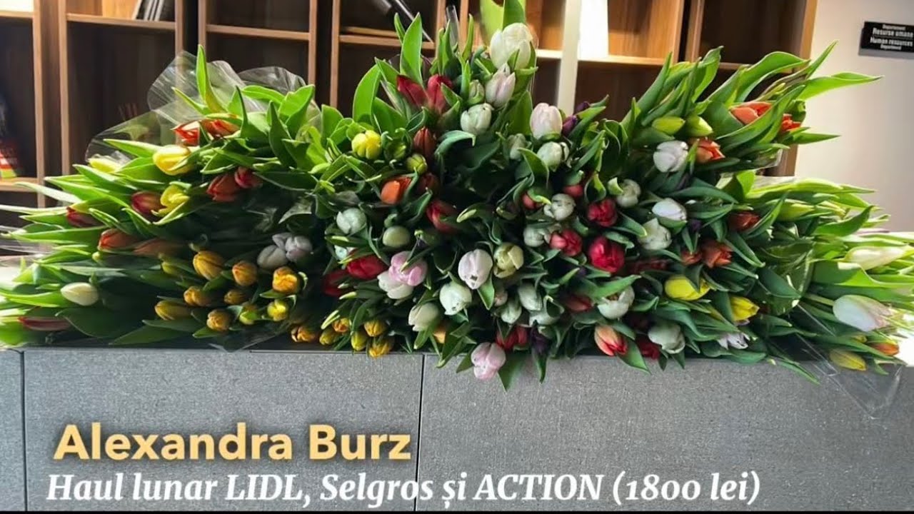 Haul lunar LIDL, Selgros & ACTION  (1800 lei)💥