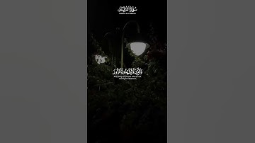 والذين لا يشهدون الزور وإذا مروا باللغو مروا كراما ｜ سورة الفرقان ｜ القارئ #محمد اللحيدان #قرآن