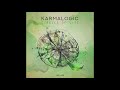 Karmalogic - Circle of Life