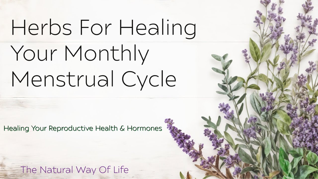 Herbs For Naturally Healing Menstrual Cycle, PMS , PCOS , PMDD ...