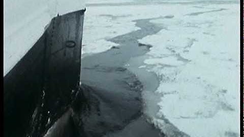 Calypso around the world