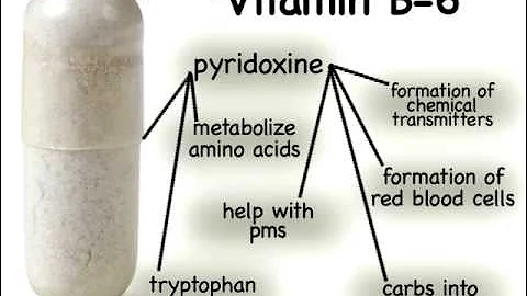 Vitamin B6 Pyridoxine Health Benefits and Dietary Sources