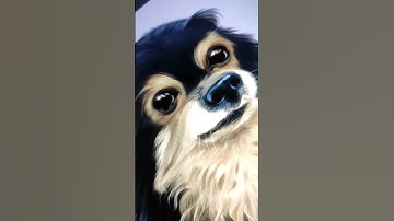 #illustration #dog #chihuahua #draw #portraitpets #procreate #ipad