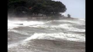 Dalmatino-Dajem ti rič