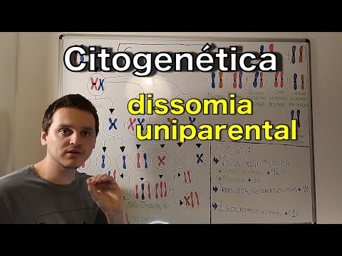 Vídeo: Diferença Entre Mosaicismo E Disomia Uniparental