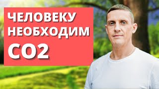 Человеку необходим углекислый газ! Зачем организму CO2, последствия нехватки углекислого газа