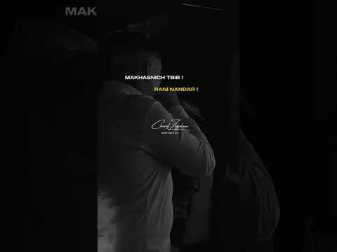 CHEB AMINE TIGRE 2024 MAKHASNICH TBIB RANI NANDAR Viral Shorts