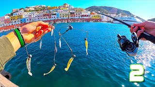 This WEIRD LURE Make Them CRAZY! Inshore barracuda fishing in Italian Paradise Island  Ponza Part 2