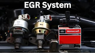 Diagnose & Replace EGR Components | 1980-1996 Ford Bronco F150 | Bronco Restoration by The Fix 53,552 views 1 year ago 9 minutes, 5 seconds