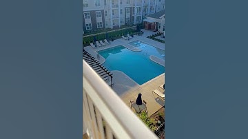 Relax and unwind in our brand new 2000 sq. ft. saltwater pool. 🌊