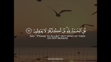 أرح سمعك و قلبك./القارئ طارق محمد.#غيث