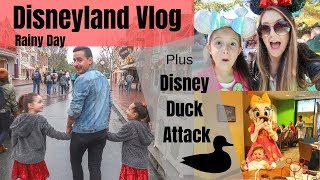 Disneyland Vlog 2 | How To Have Fun At Disney In The Rain | Disney Vlog 2019