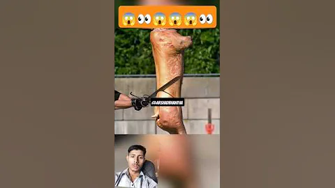 Master swordsmith's SWORD breaks infront of AMATEUR! 🥶 | Sword-making@ArshadBhantha