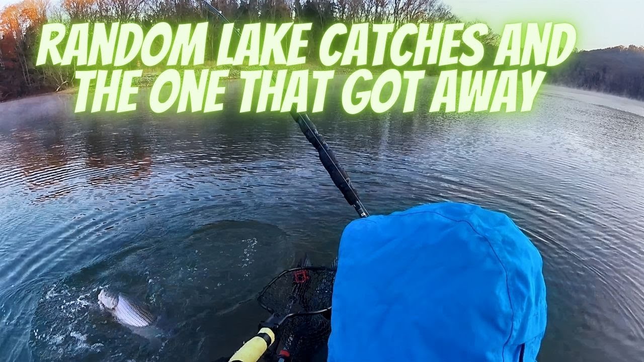 Random lake catches and the big one that got away | BigBaitPosse