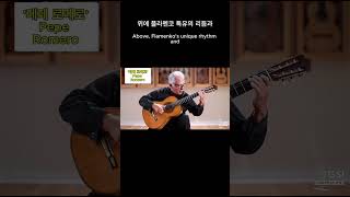 페페 로메로(Pepe Romero)  #shorts  #기타 #guitar #music