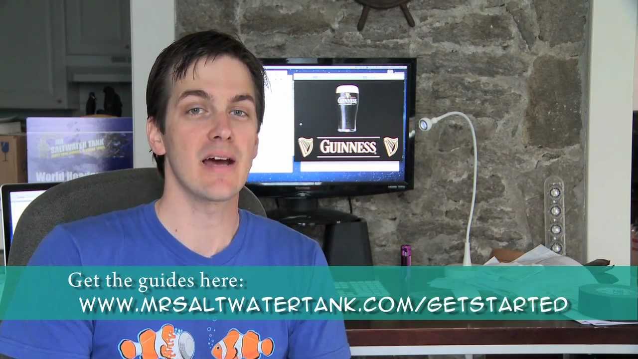 aquarium plants Mr. Saltwater Tank Unveils His New 235 Gallon Tank Build