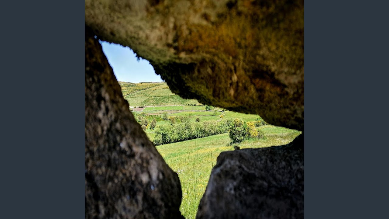 Contrasting Perspectives Meaning