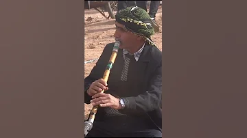 Shorts قصبة ساك الشيخ لحسن 