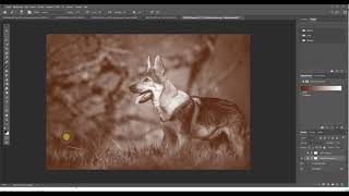 Bildbearbeitung - kleine Effekte screenshot 2