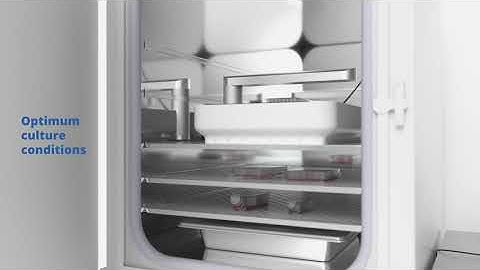 Live Cell Imaging - Introducing the CytoSMART Omni | Axion BioSystems