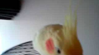 My Youtube: Mr weeb.3gp