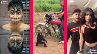 Monkey Tries to Ride a Motorcycle + More Funny Videos! by FunnyPeopleVideos 3,739 views 5 years ago 10 minutes, 25 seconds