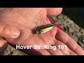 Hover strolling 101 with fish arrow flash j