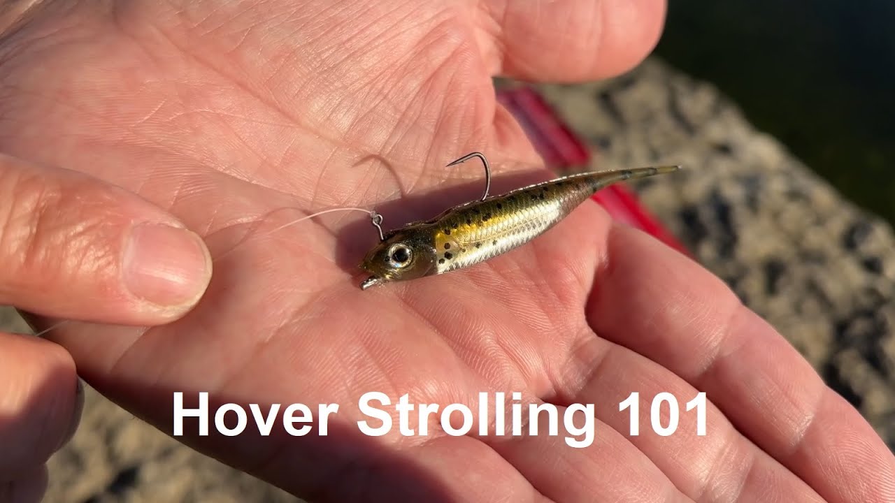 Hover Strolling 101 with Fish Arrow Flash J 