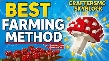 Make MILLIONS with This Farm! CraftersMC Skyblock | make money in craftersmc skyblock
