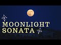 Moonlight sonata played by me