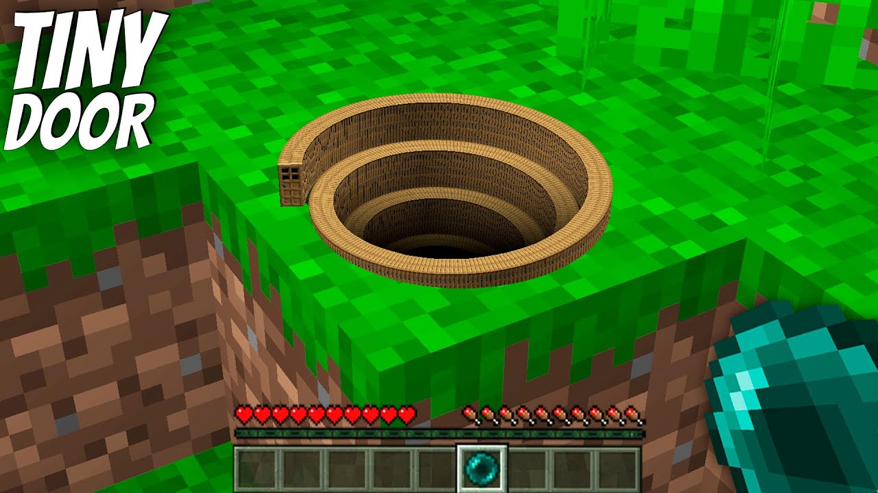 I found a TINY LONGEST DOOR PIT in Minecraft ! TINY DOOR