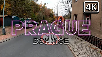 Co je živočišné uhlí?