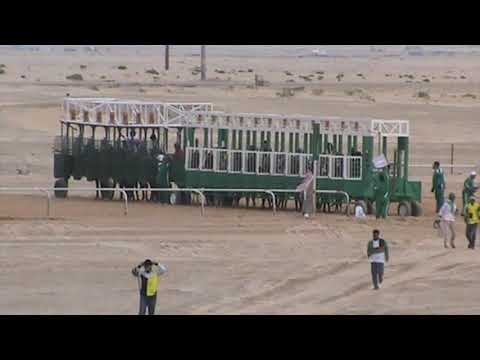 ميدان الفروسية بالأحساء لعام ١٤٣٥ه حفل 10 شوط الثاني المركز الأول قمر الميامين