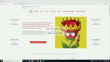 Solana NFT CLI Minter Bot Eternal Flowers NFT SOL MINT script v2