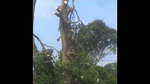 The Art and Science of Rigging and Lowering