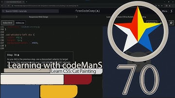 FreeCodeCamp | Learn Intermediate CSS by Building a Cat Painting: Step 70 | Responsive Web Design
