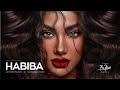 &quot; Habiba &quot; Oriental Balkan Instrumental | Prod by BuJaa BEATS