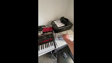 Sunday Jam with TR-8, TB-03, monologue & JD-Xi (Techno Jam)