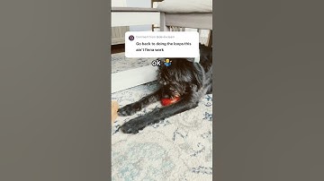 PERFECT LOOP! #loop #fyp #shorts #viral #trending #trending #tiktok